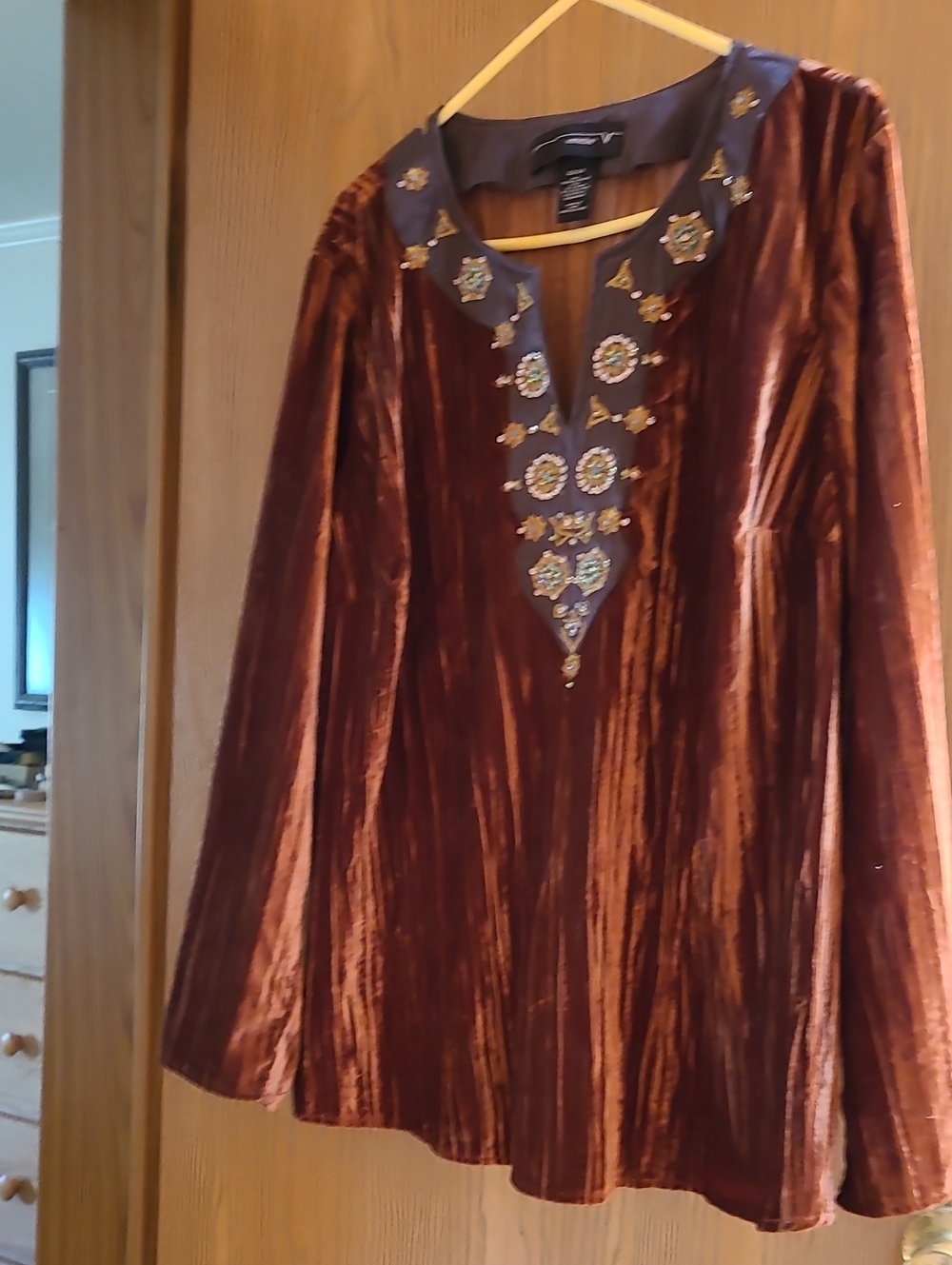 Venezia Rust Velvet Long Sleeve Tunic with Embroidered Neckline